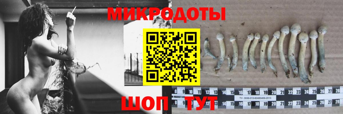 Псилоцибиновые грибы Psilocybe  Вход с VPN  Галлюциногенные грибы мицелий  Прокопьевск 